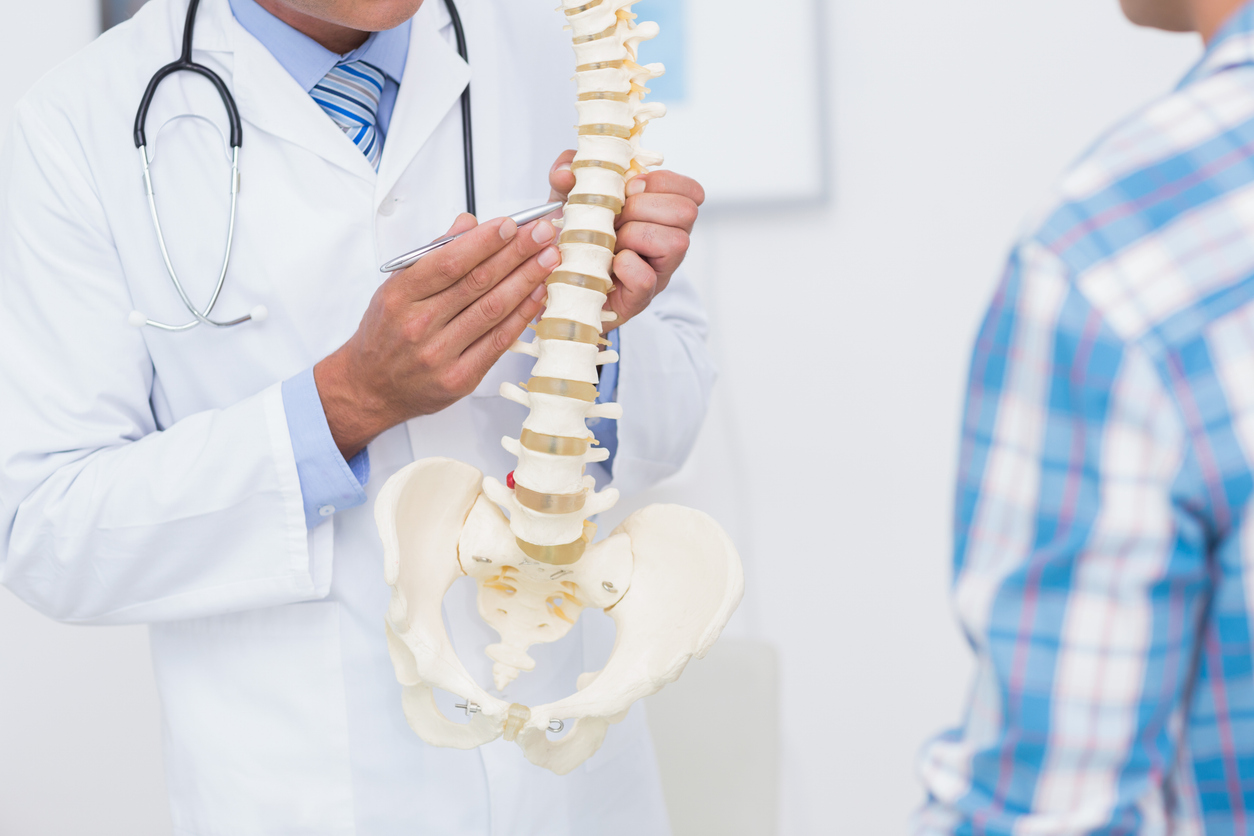 A doctor holds a model of the spine. 