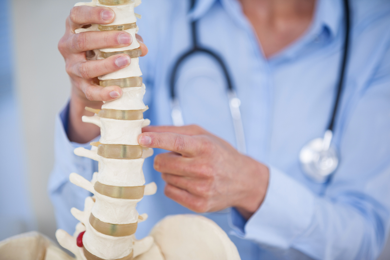 Doctor holds up a model of the spine. 